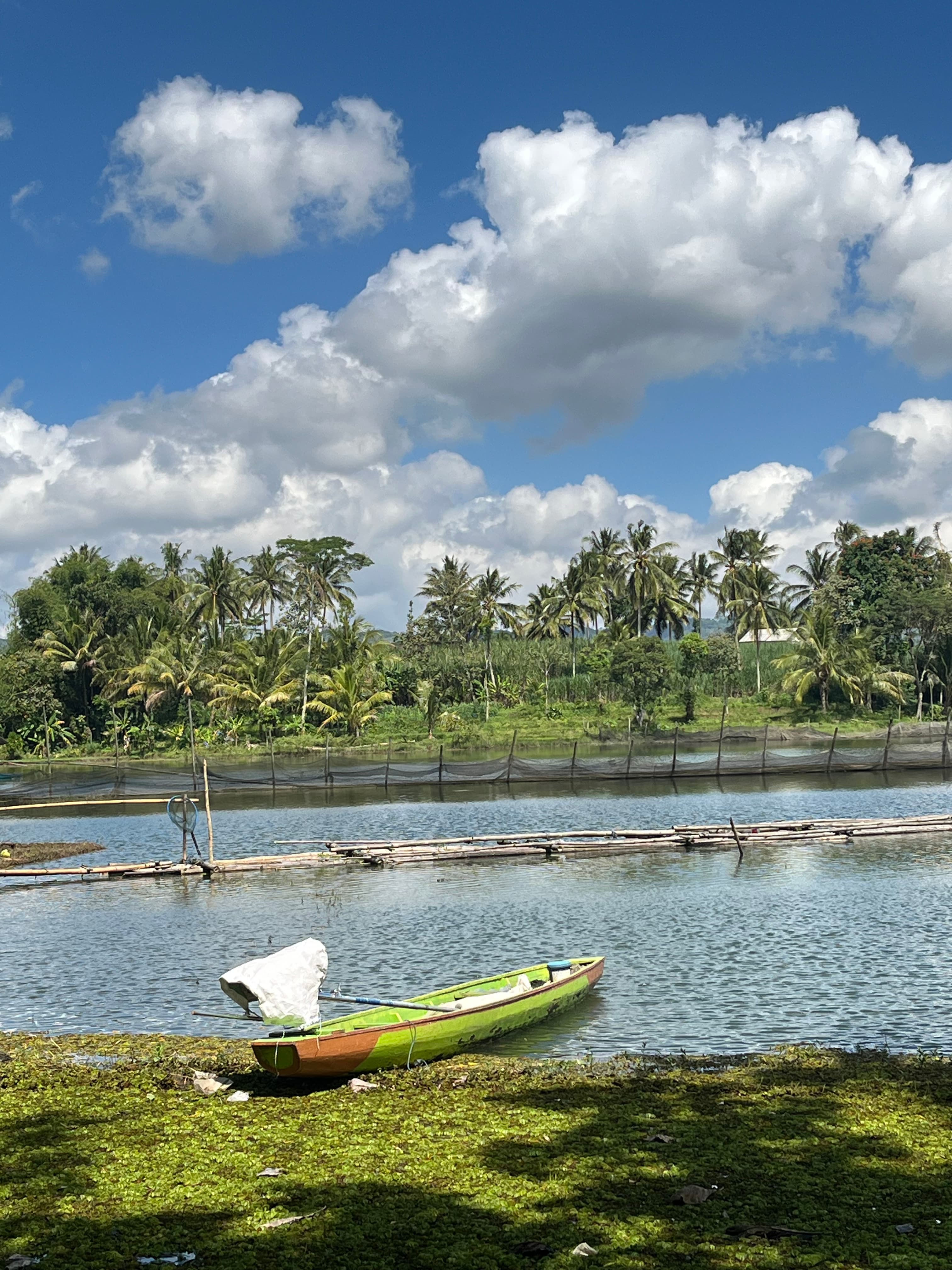 Lokasi wisata alam yang cocok dikunjungi oleh keluarga untuk menikmati pemandangan danau dan pepohonan yang asri.